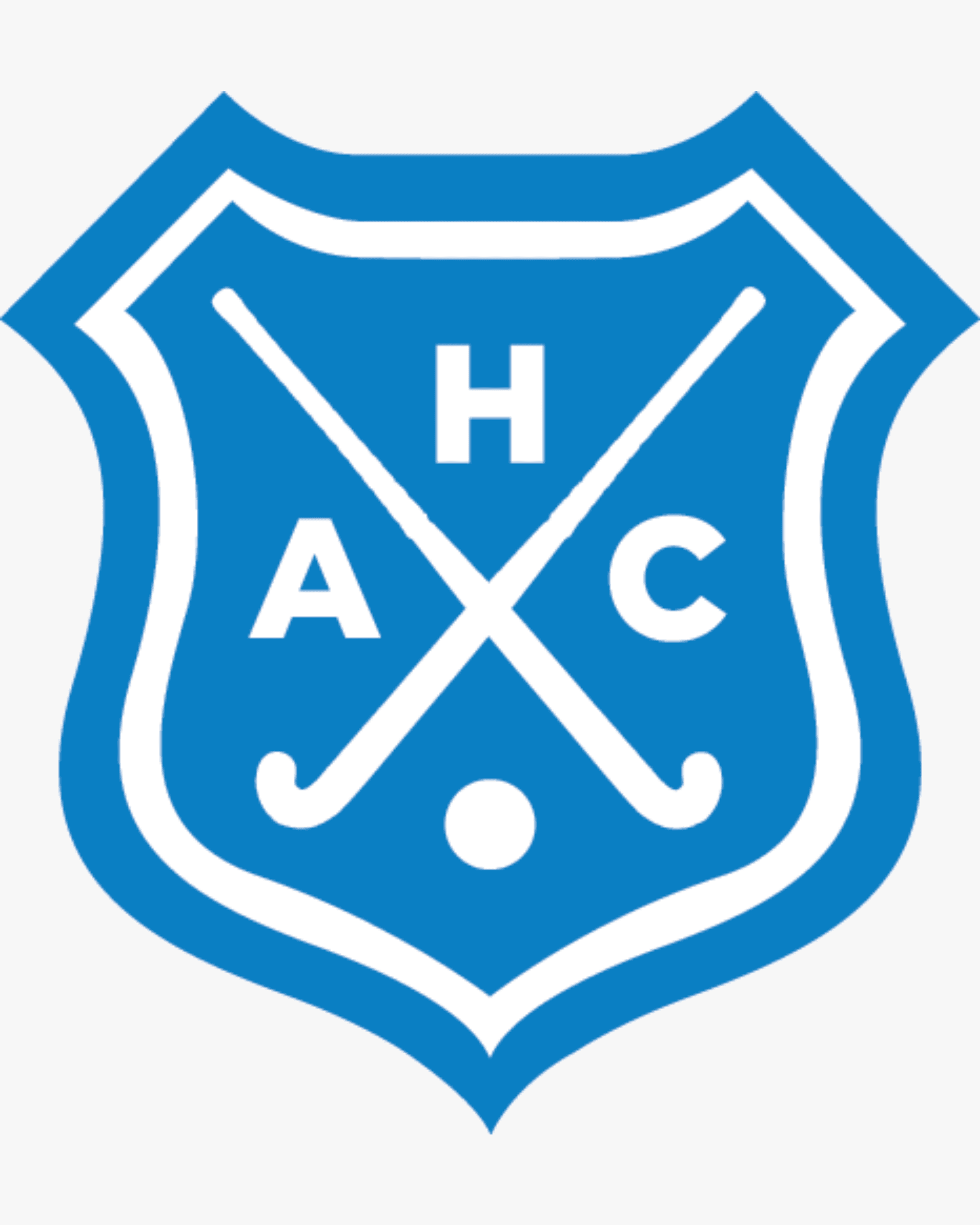 AHC Velp