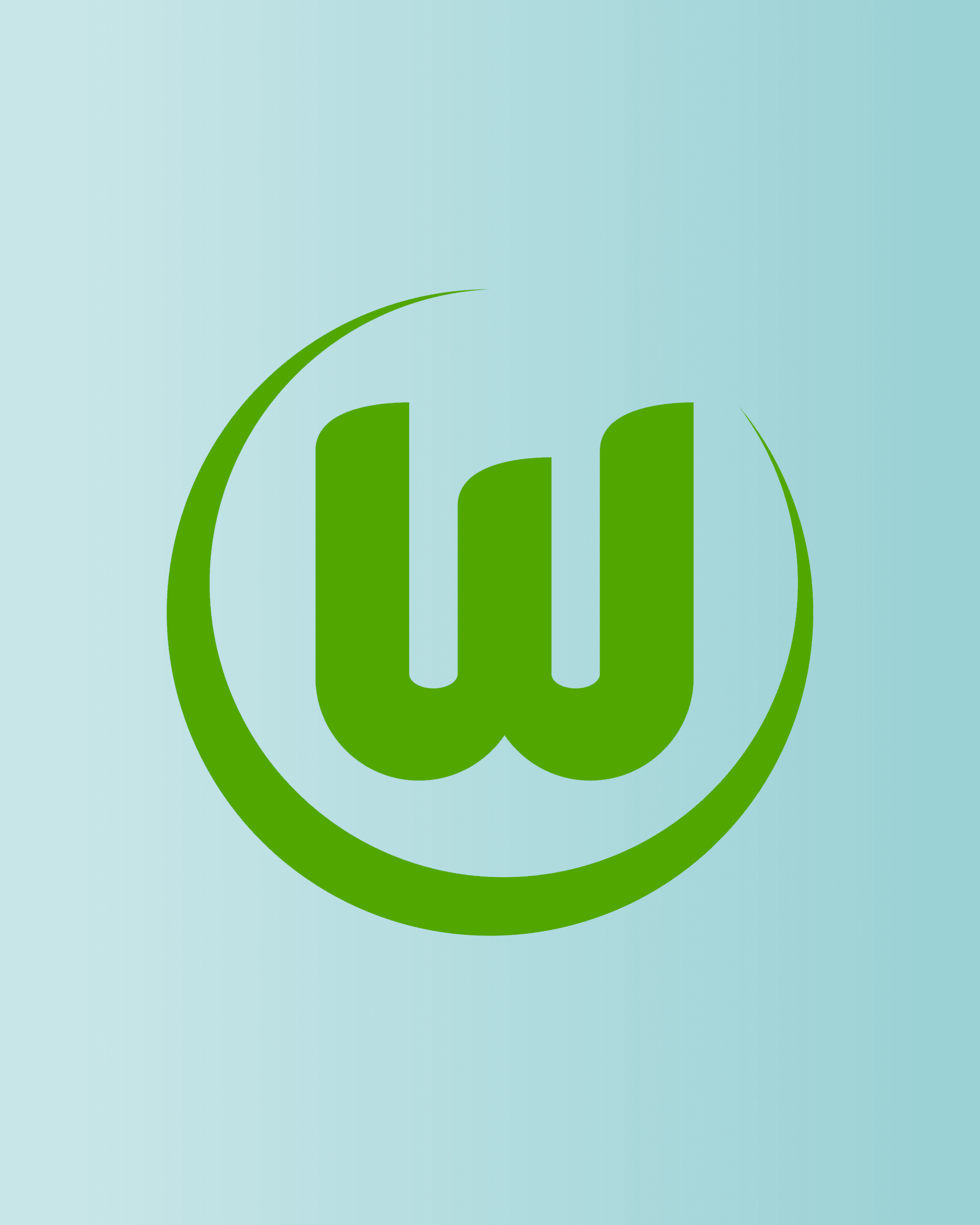 VFL Wolfsburg